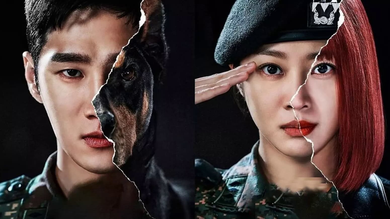 Military Prosecutor Doberman รีวิวหนัง